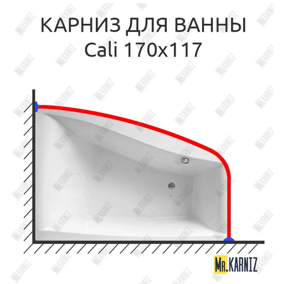 Карниз для ванны Balteco Cali 170х117 Усиленный 20 мм MrKARNIZ Карниз для ванны Balteco Cali 170х117 Усиленный 20 мм MrKARNIZ
